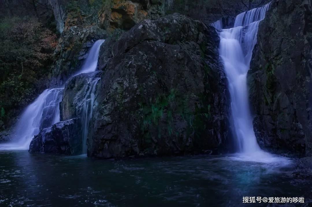 逃离森林边缘