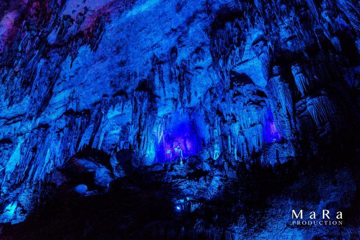 逃离废弃高校