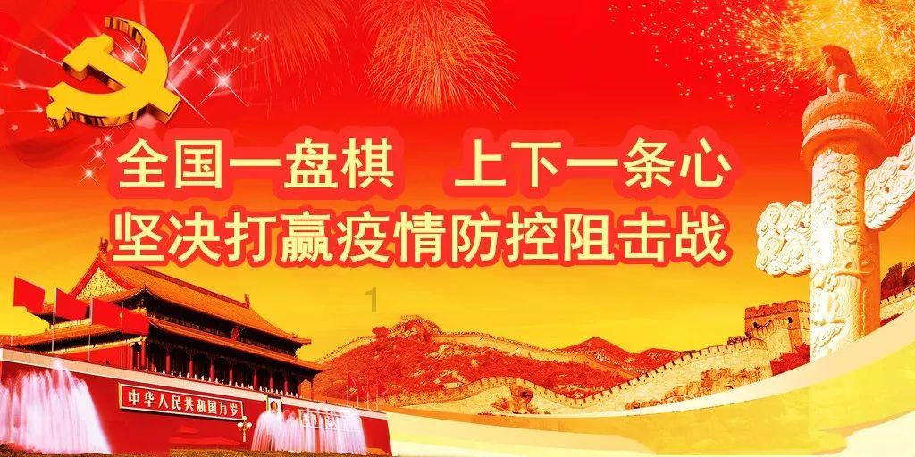 组装机械章鱼龙