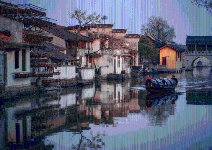雨雪天气来临 郑州为黄河滩的鸟儿送上“爱心餐”